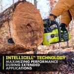 RYOBI 40V Lithium-Ion 6.0 Ah High Capacity Battery (OP4060A1)