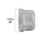 Southland 1/2 in. Galvanized Malleable Iron Cap Fitting (511-403HN)
