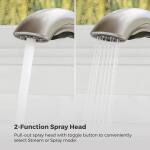 Pfister Wray Spot Defense Stainless Steel Single-Handle Pull-Out Sprayer Kitchen Faucet with Deckplate Included (F-534-7WRYGS)