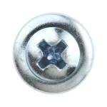 Teks 8 x 1 in. Phillips Truss Head Drill Point Lath Screws (170-Pack) (21528)