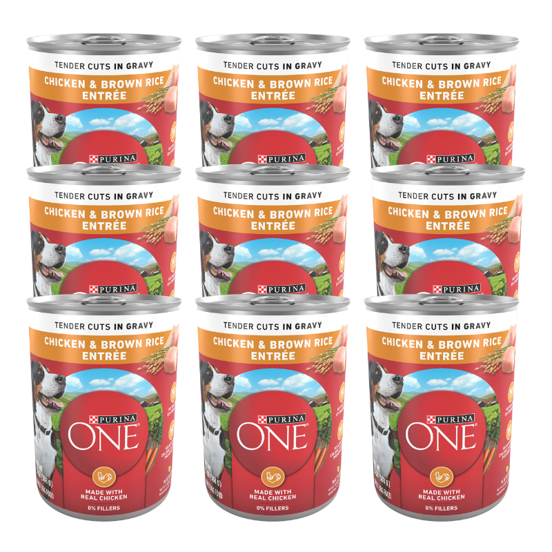 Purina ONE® SmartBlend Everyday Nutrition Adult Dog Wet Food - Natura Chicken & Brown rice Entree