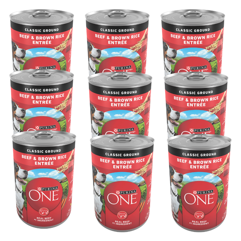 Purina ONE Classic Ground Beef & Brown Rice Entree Wet Dog Food