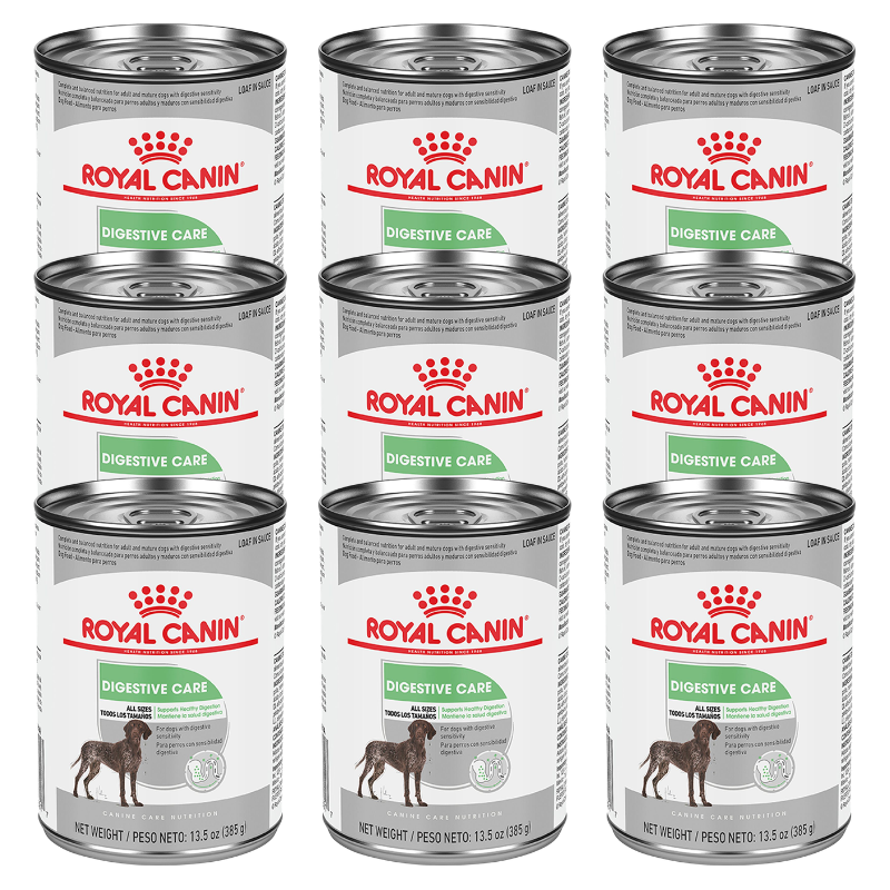Royal Canin Canine Care Nutrition Adult Wet Dog Food – Digestive Care, Original