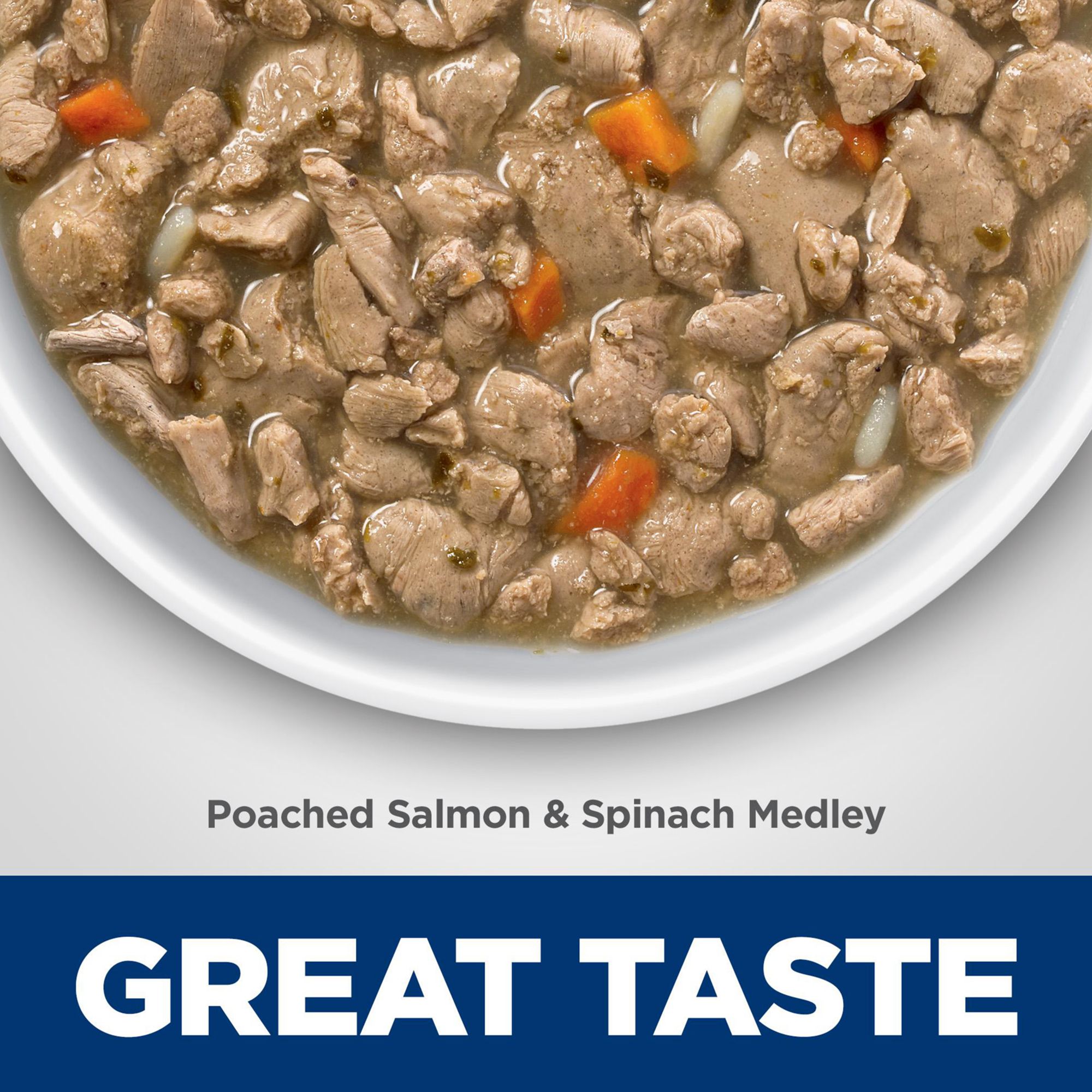 Hill's Science Diet Healthy Cuisine Cat Food - Salmon & Spinach Medley - Image 3