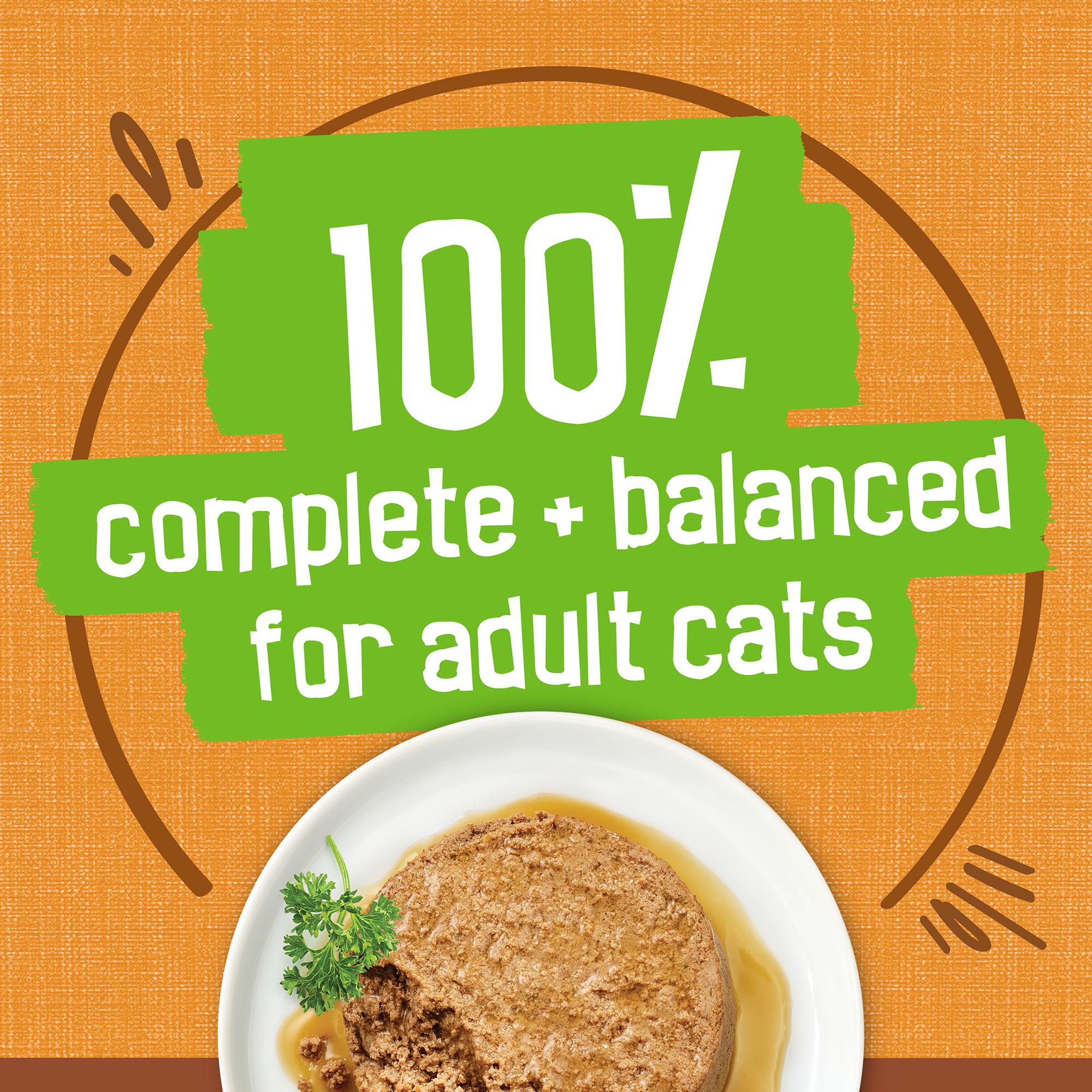Purina® Friskies® Extra Gravy Adult Cat Wet Food - Chicken - Image 5