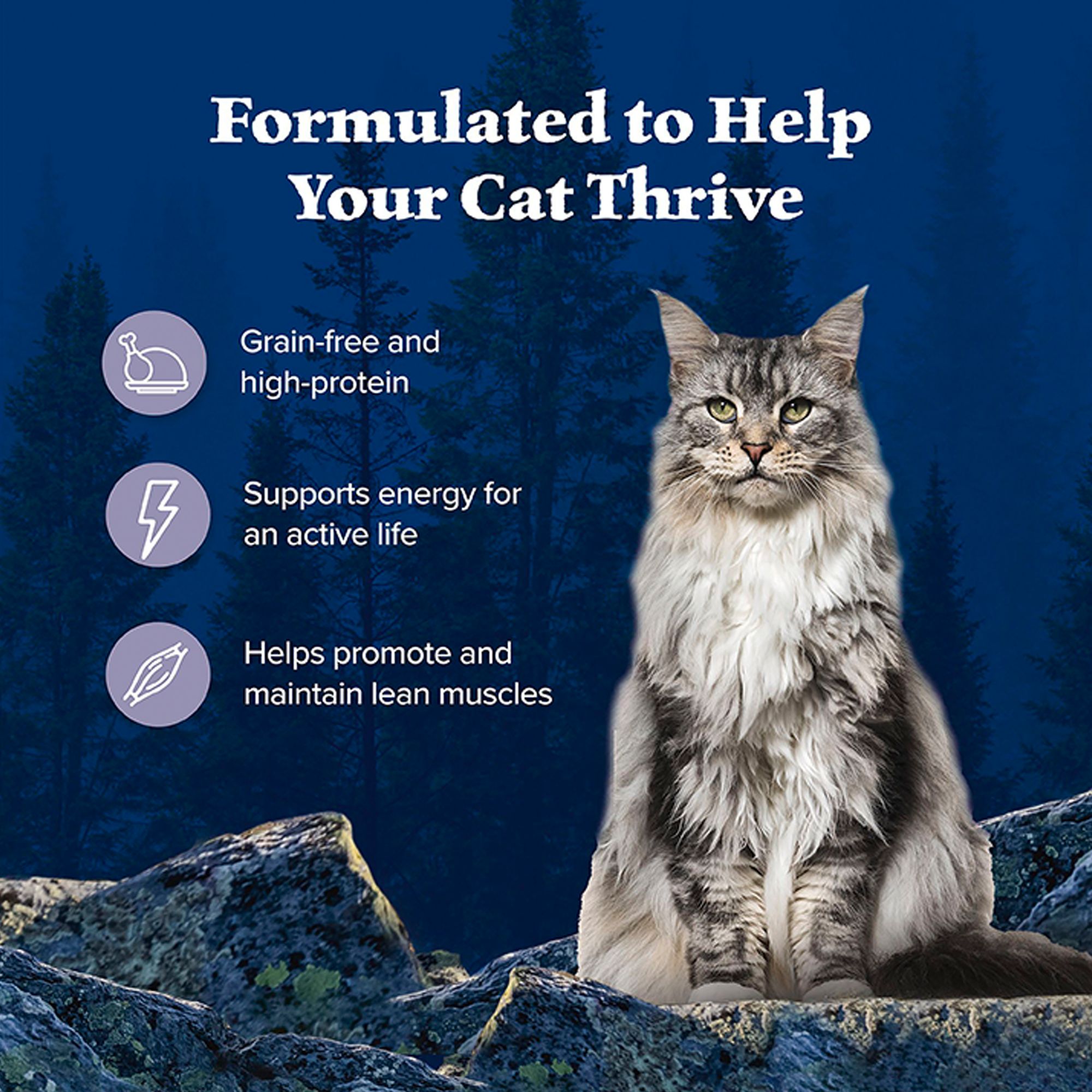 Blue Buffalo® Wilderness&trade;  Adult Wet Cat Food - Grain Free, Pate, - Chicken - Image 4