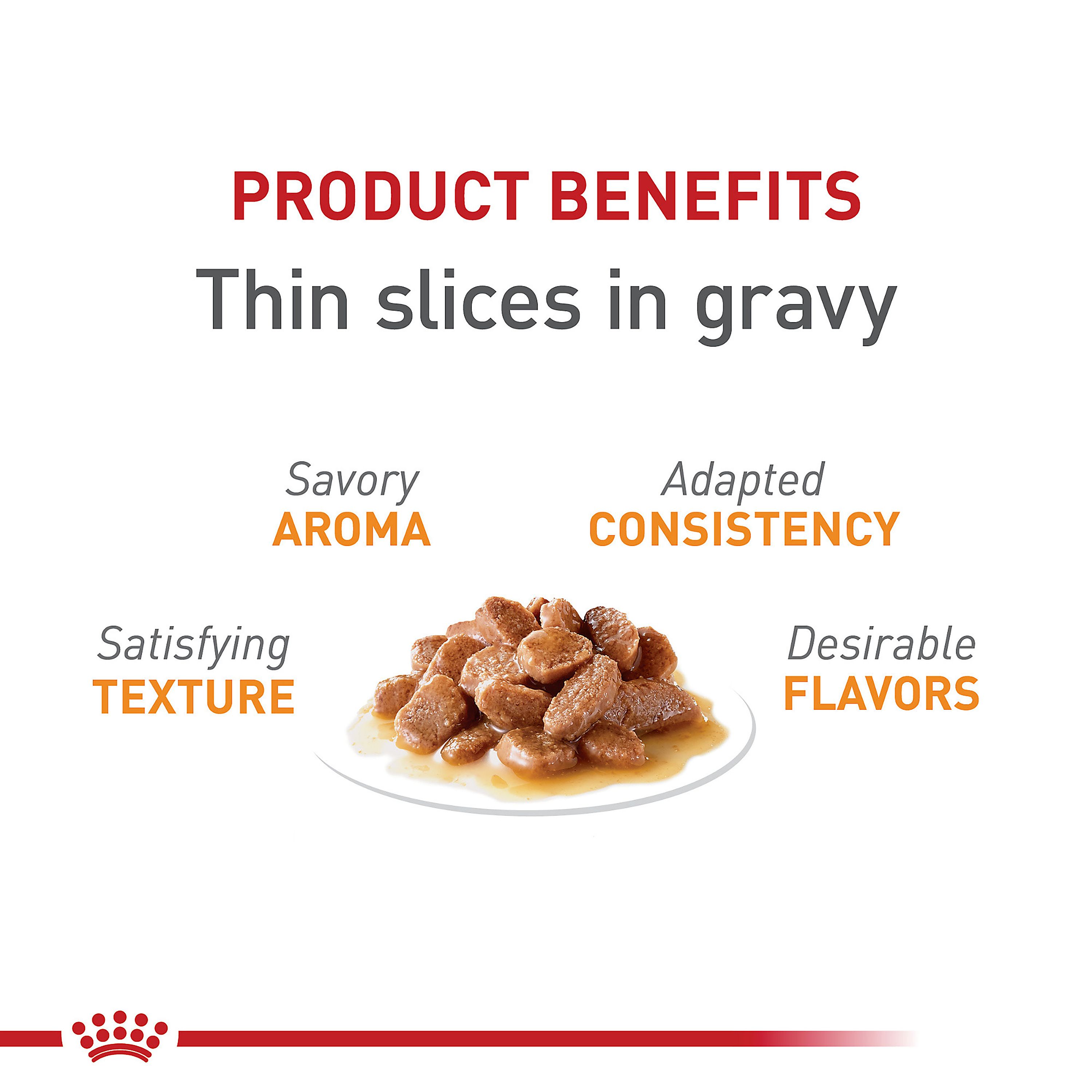 Royal Canin® Feline Care Nutrition Hair & Skin Care Adult Wet Cat Food - Thin Slices in Gravy - Image 4
