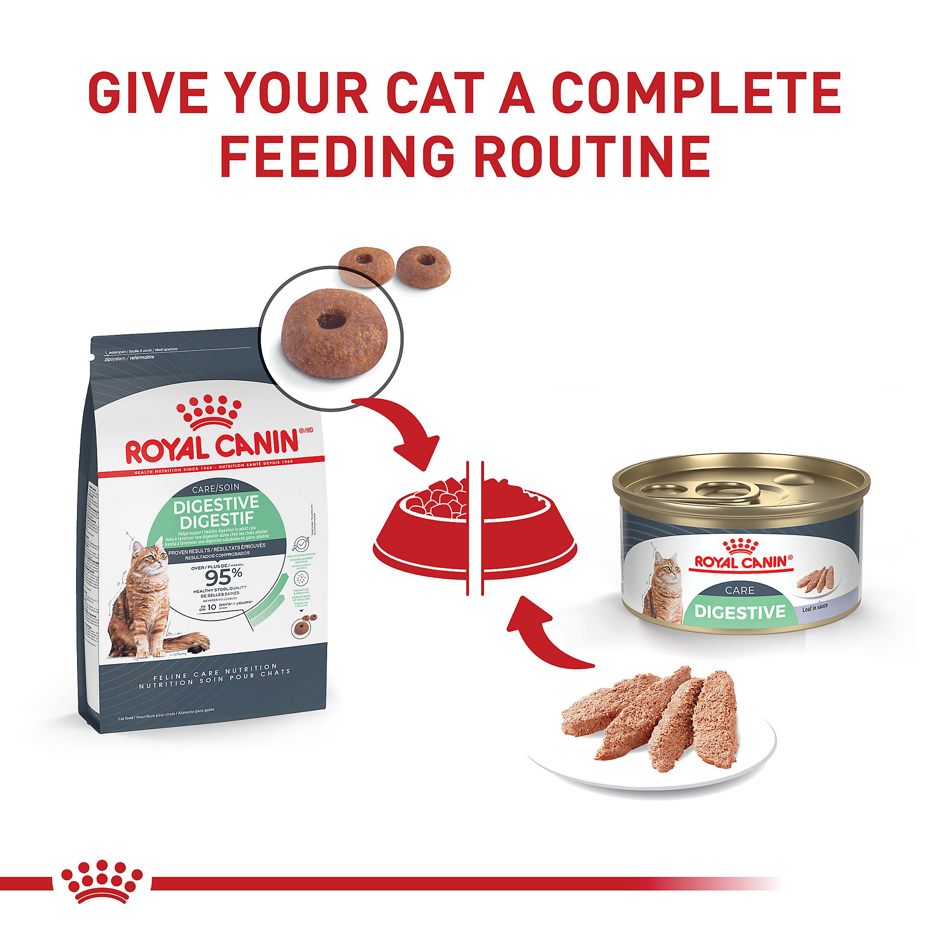 Royal Canin® Feline Care Nutrition Digestive Care Adult Cat Wet Food - Image 6