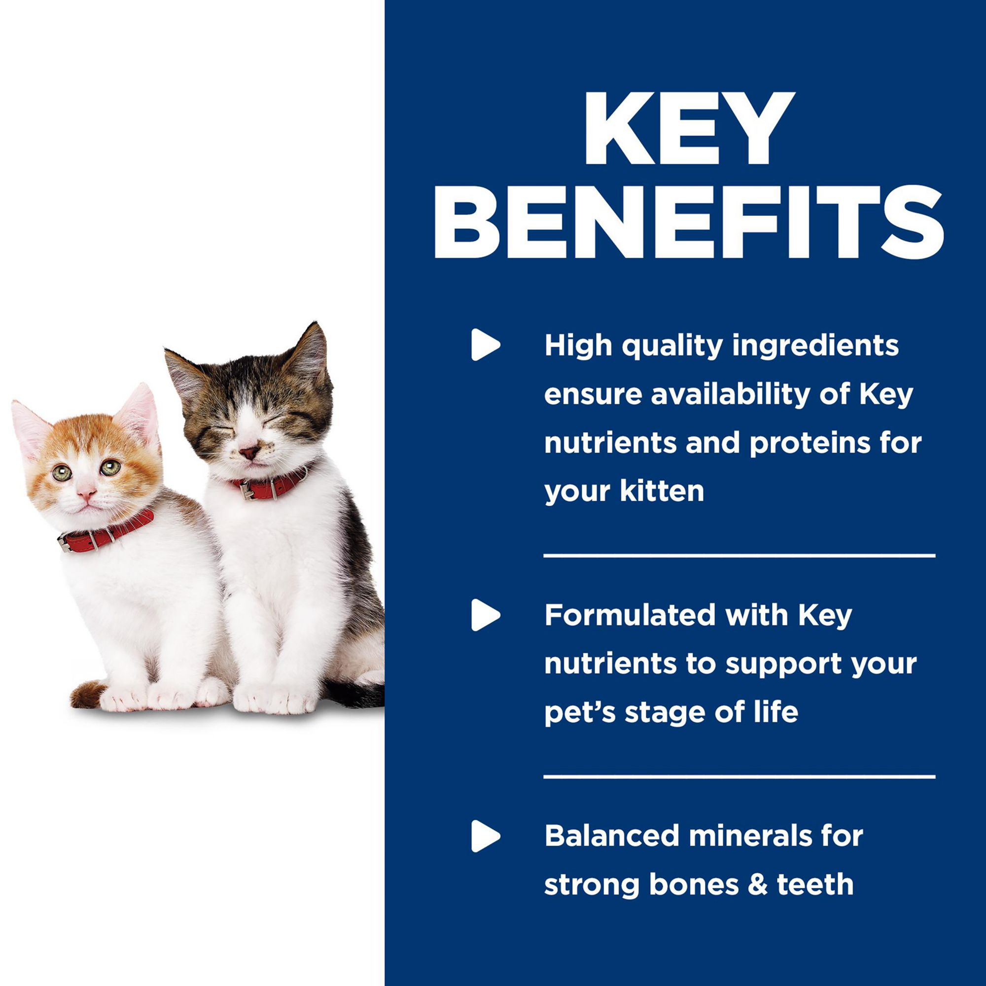 Hill's® Science Diet® Kitten Wet Cat Food - Chunks & Gravy, Chicken - Image 7