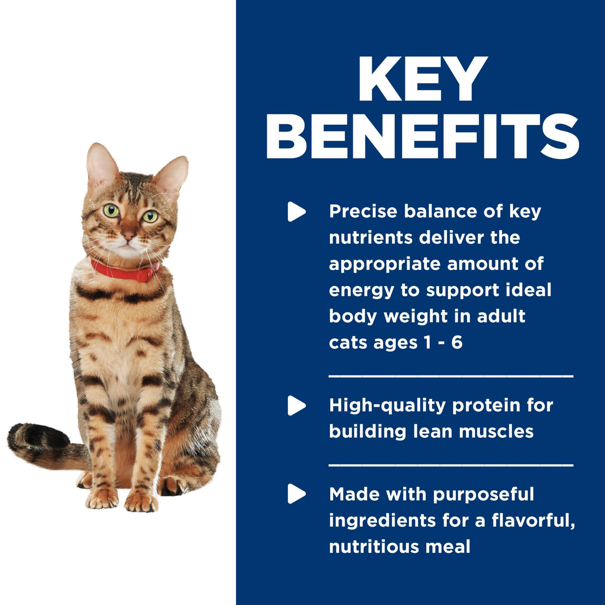 Hill's Science Diet Healthy Cuisine Cat Food - Salmon & Spinach Medley - Image 5