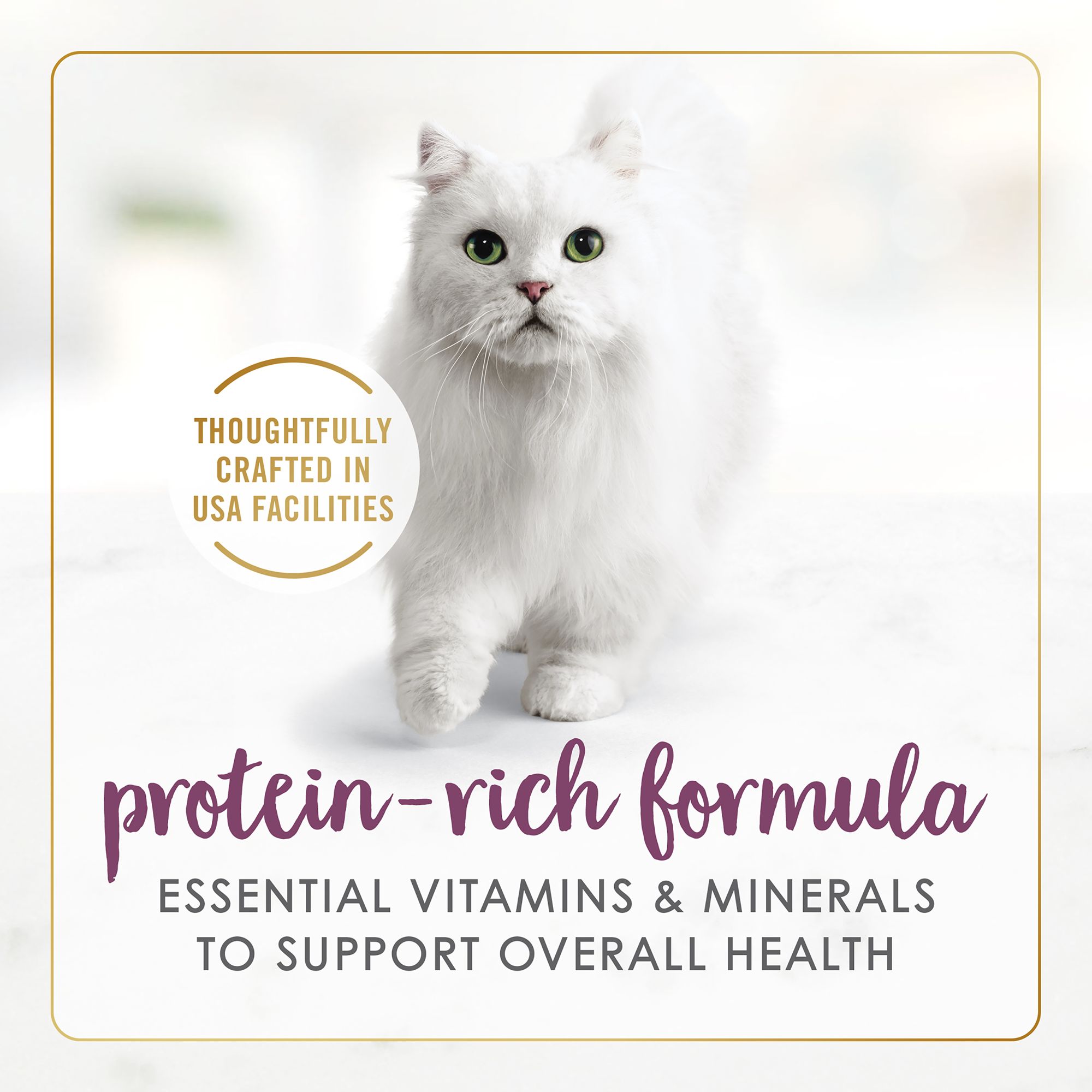 Fancy Feast® Gravy Lovers All Life Stages Cat Wet Food - Chicken - Image 4