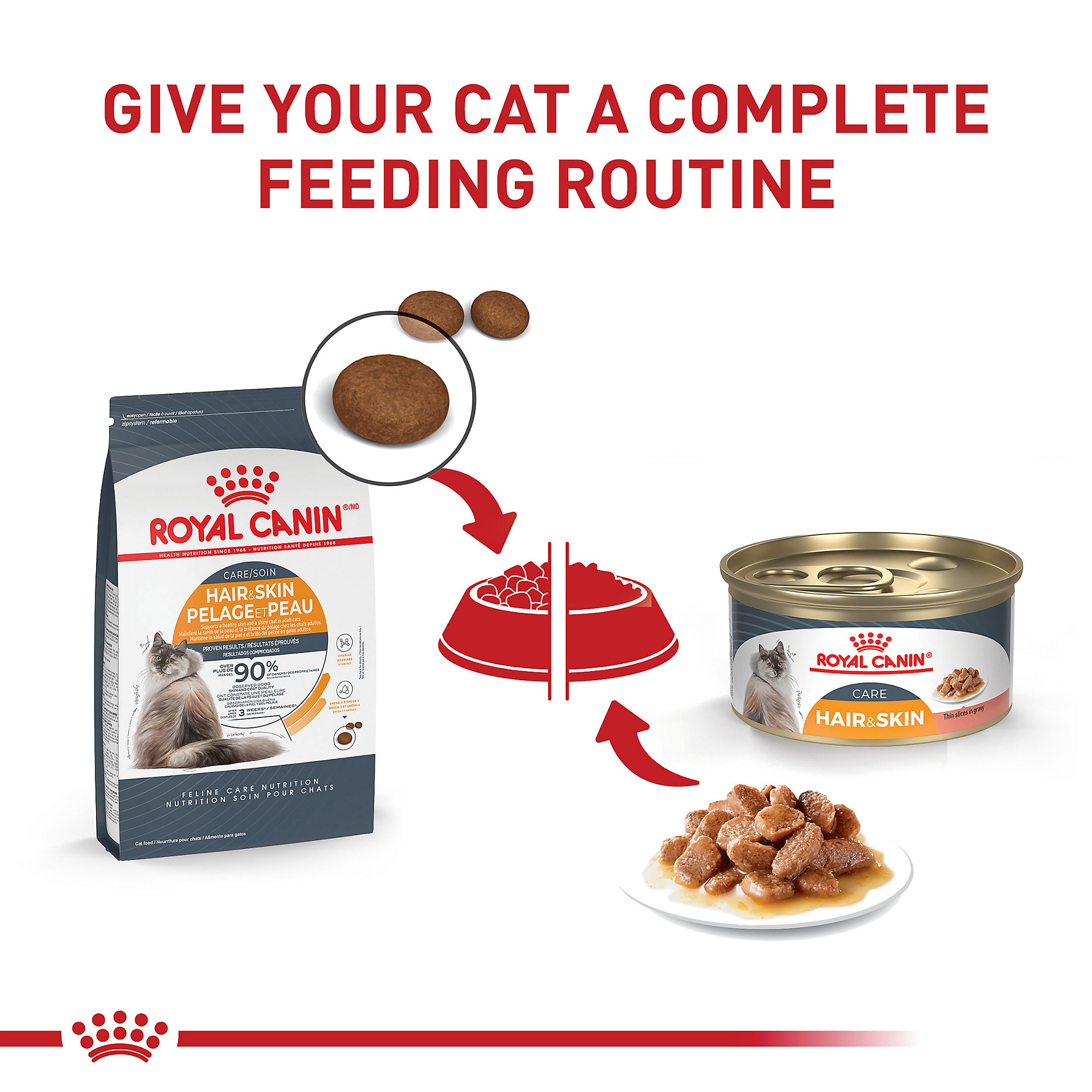 Royal Canin® Feline Care Nutrition Hair & Skin Care Adult Wet Cat Food - Thin Slices in Gravy - Image 6