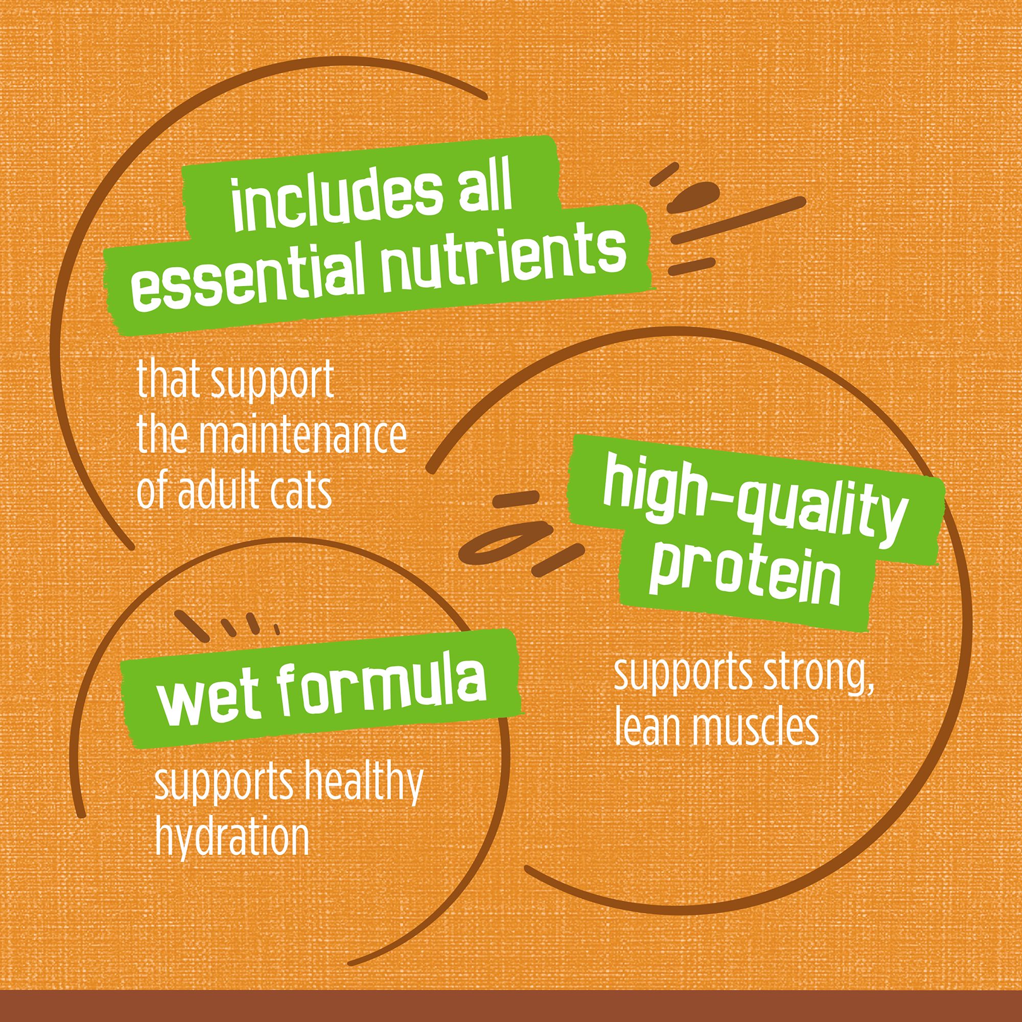 Purina® Friskies® Extra Gravy Adult Cat Wet Food - Chicken - Image 7
