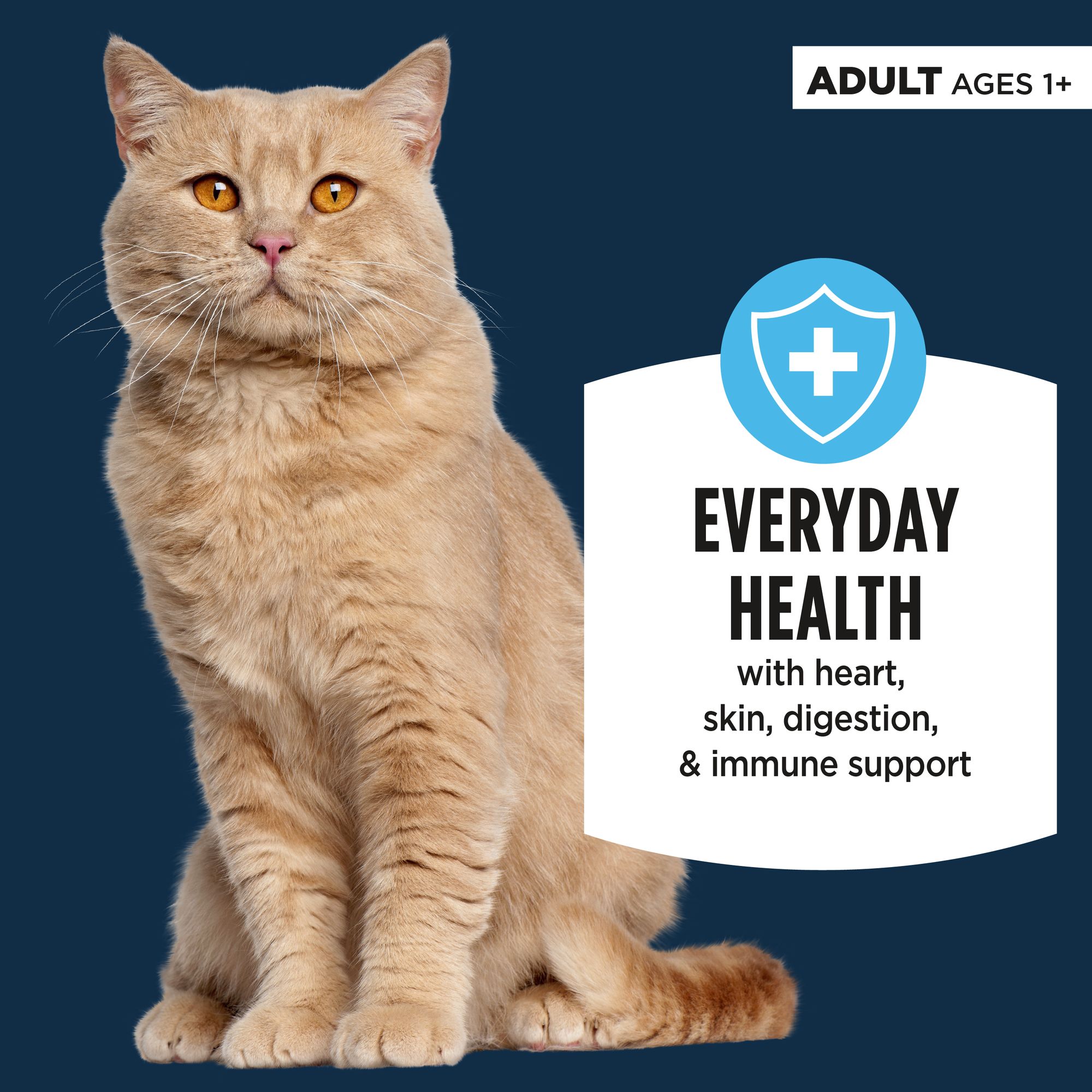 Authority® Everyday Health Adult Cat Wet Food - Shreds in Gravy, With-Grain, Chicken & Liver - Image 3