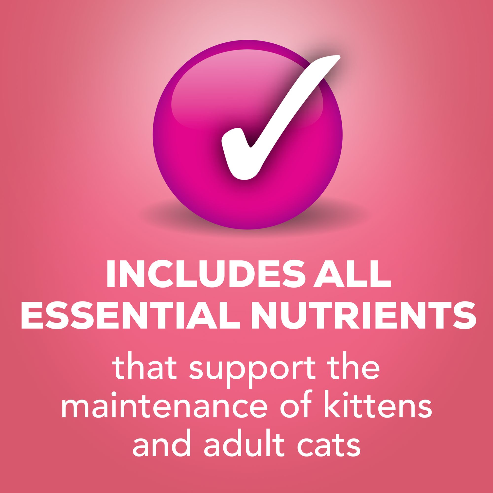 Purina® Friskies® Pate Wet Cat Food - Salmon - Image 7