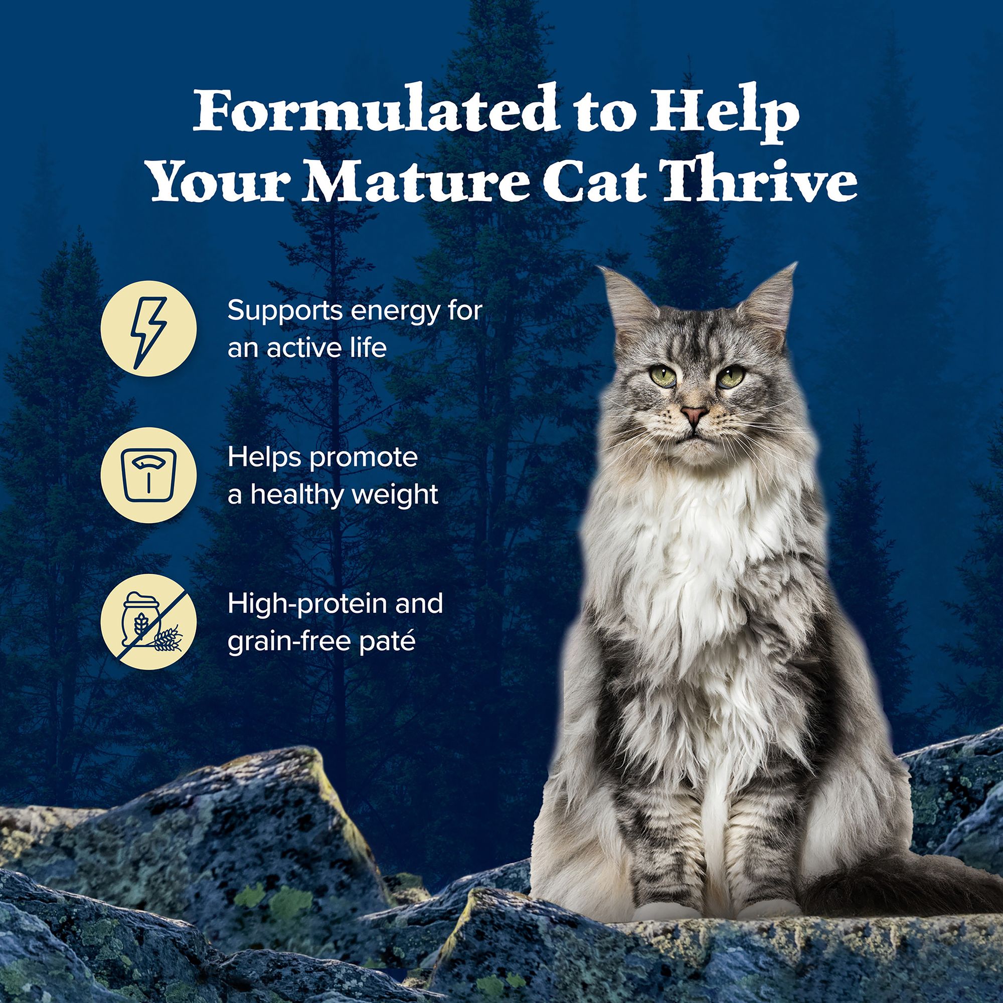 Blue Buffalo® Wilderness&trade;  Senior Wet Cat Food - Grain Free, Pate, Chicken - Image 4