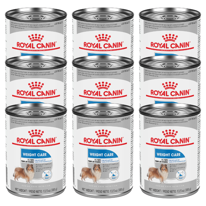 Royal Canin Weight Care Adult Wet Dog Food Pork - Image 1