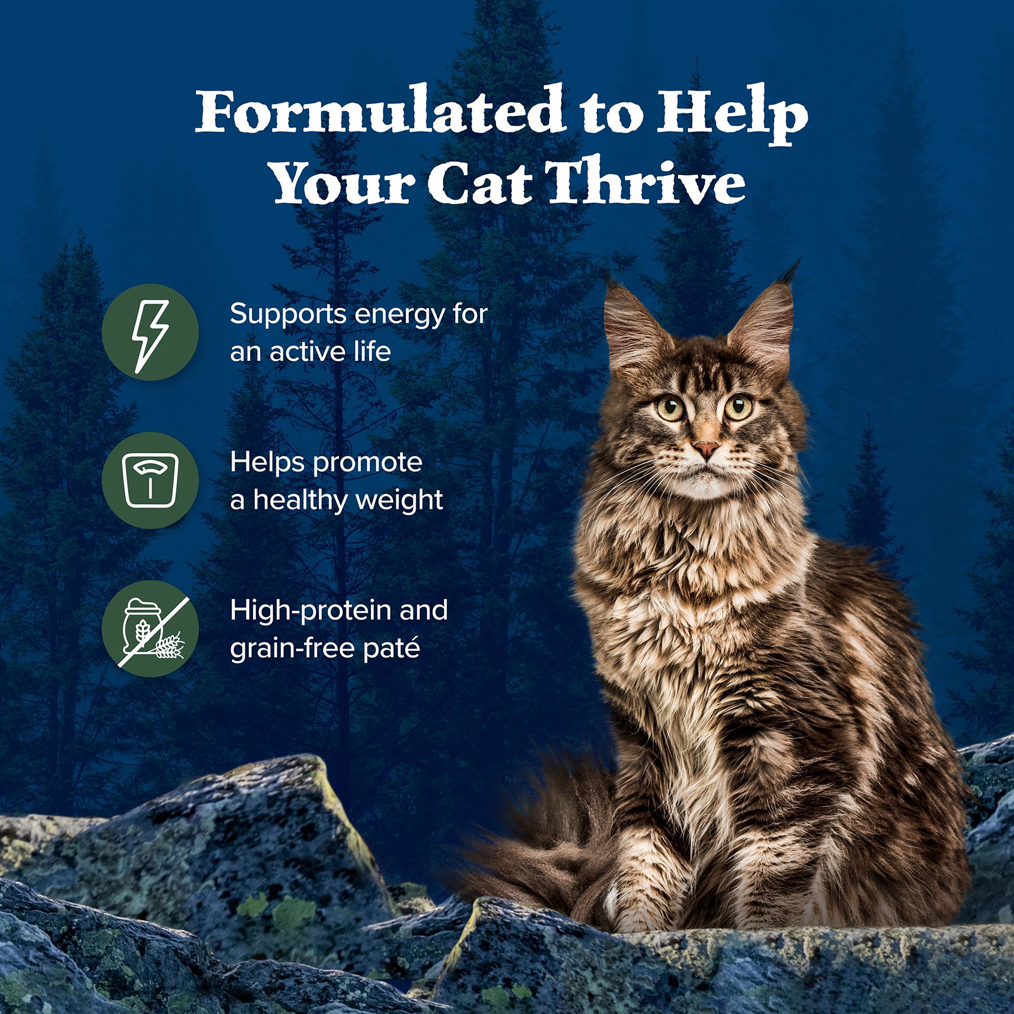 Blue Buffalo® Wilderness&trade;  Adult Wet Cat Food - Grain Free, Pate - Duck - Image 5