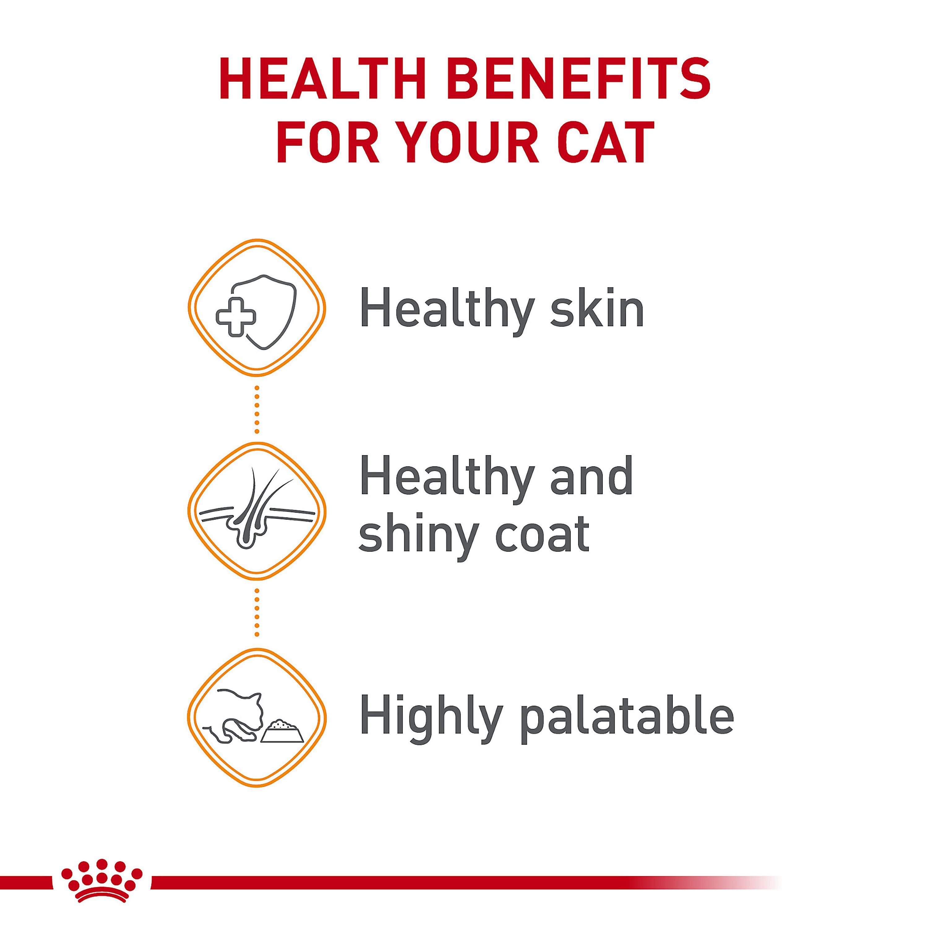 Royal Canin® Feline Care Nutrition Hair & Skin Care Adult Wet Cat Food - Thin Slices in Gravy - Image 5