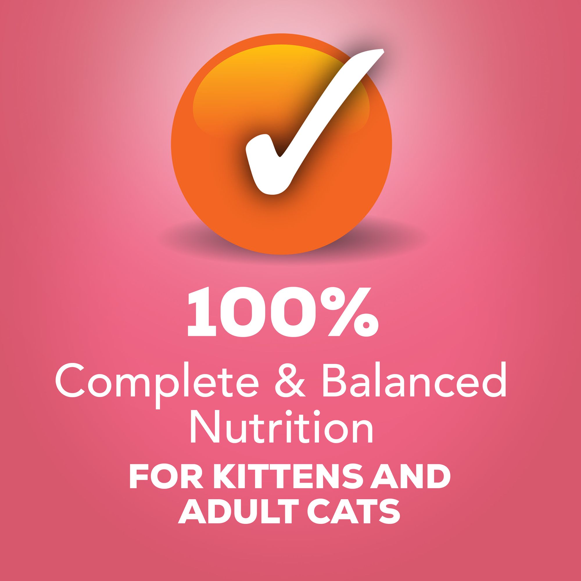 Purina® Friskies® Pate Wet Cat Food - Salmon - Image 5