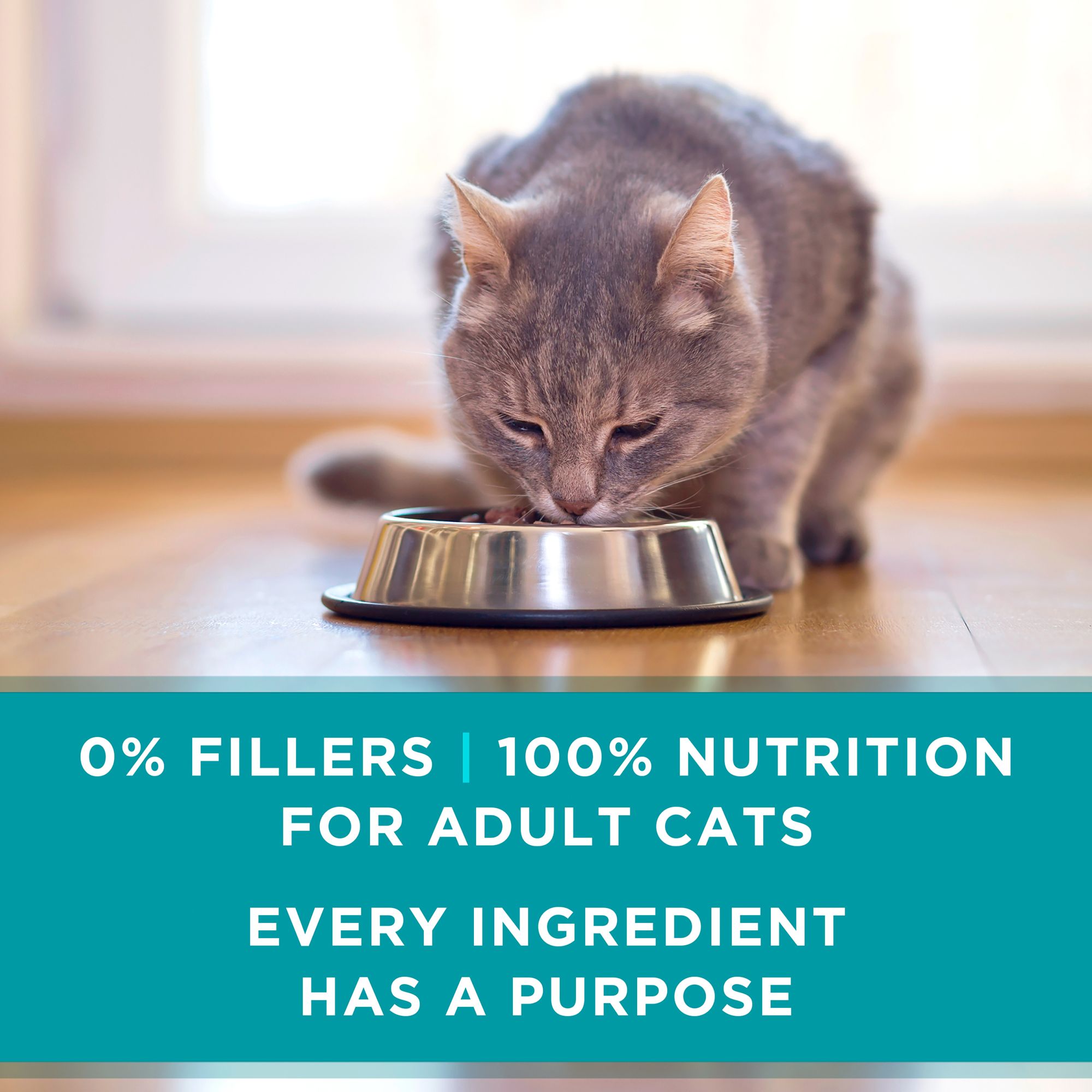 Purina ONE® +Plus Urinary Tract Adult Cat Wet Food - No Artificial Flavors, Beef & Liver - Image 8