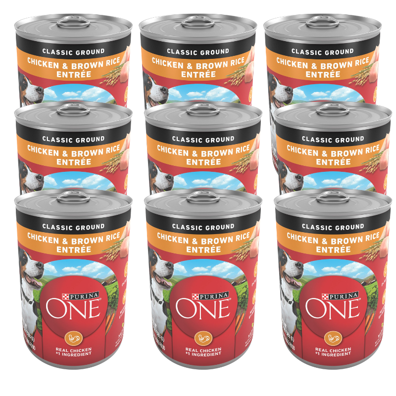 Purina ONE® SmartBlend Everyday Nutrition Adult Dog Wet Food - Natural - Image 1