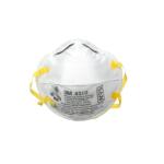 3M N95 Disposable Paint Prep Sanding Disposable Respirator Mask (2-Pack) (8210PA1-A)