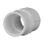 Charlotte Pipe 3/4 in. PVC Schedule 40 Female S x FPT Adapter (PVC021010800HD)