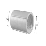Charlotte Pipe 3/4 in. PVC Schedule 40 FPT x FPT Coupling (PVC021020800HD)