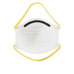 HDX N95 Disposable Adult Respirator Mask (10-Pack) (H950)