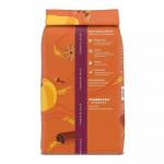 Starbucks Pumpkin Spice Light Roast Ground Coffee - 11oz